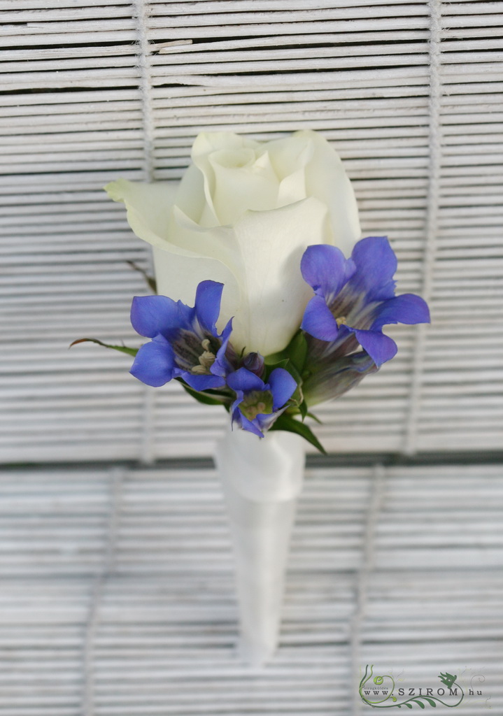 Vőlegény kitűző rózsából, enciánból (fehér, kék)