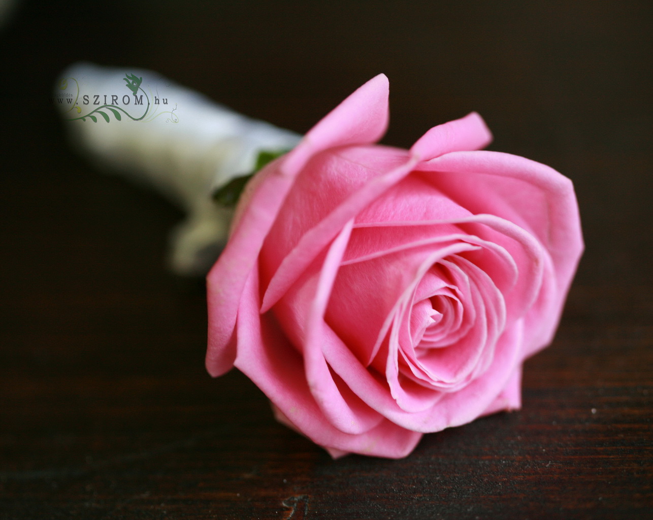 Vőlegény kitűző rózsából (rózsaszín)