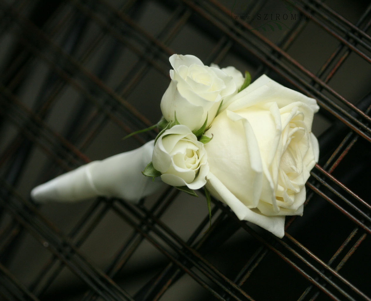 Vőlegény kitűző bokros rózsából, rózsából (fehér)