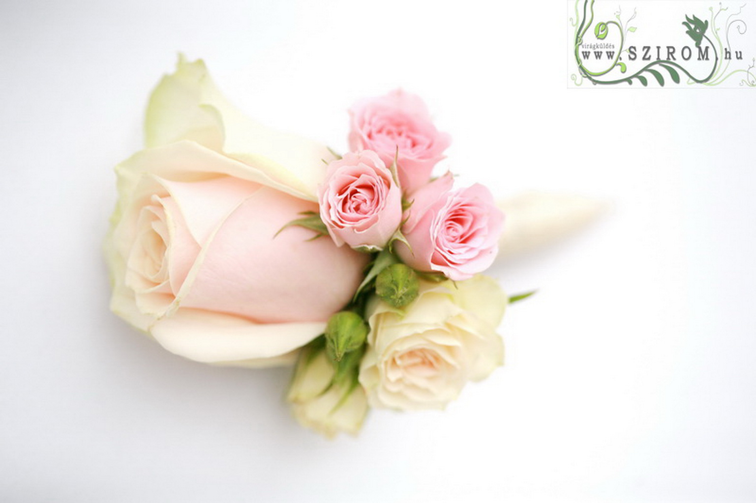 Vőlegény kitűző (bokros rózsa, rózsa, rózsaszín, barack)