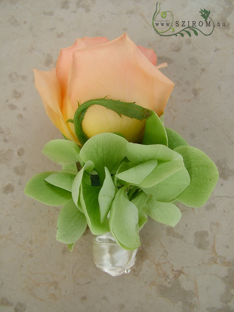 Vőlegény kitűző rózsából hortenziával (barack, zöld)