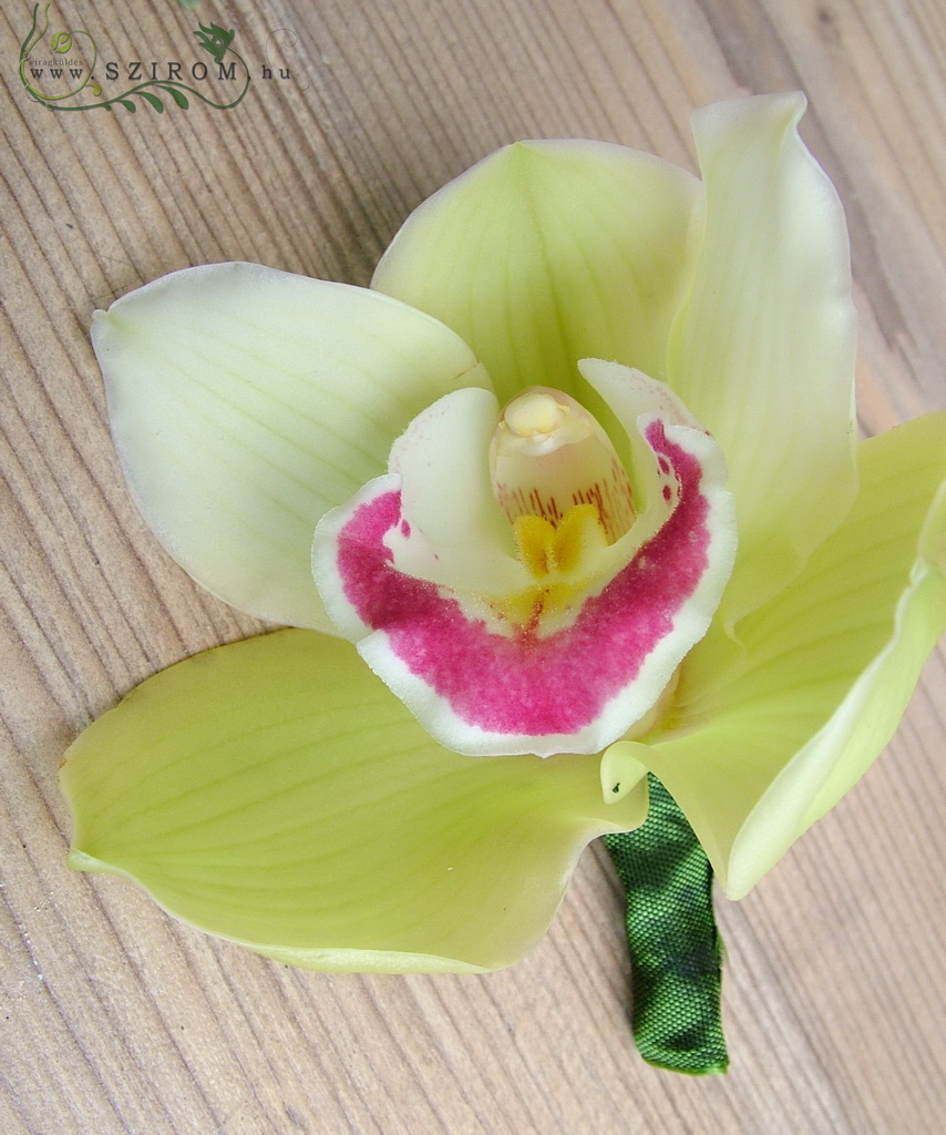 Vőlegény kitűző orchideából (sárga)