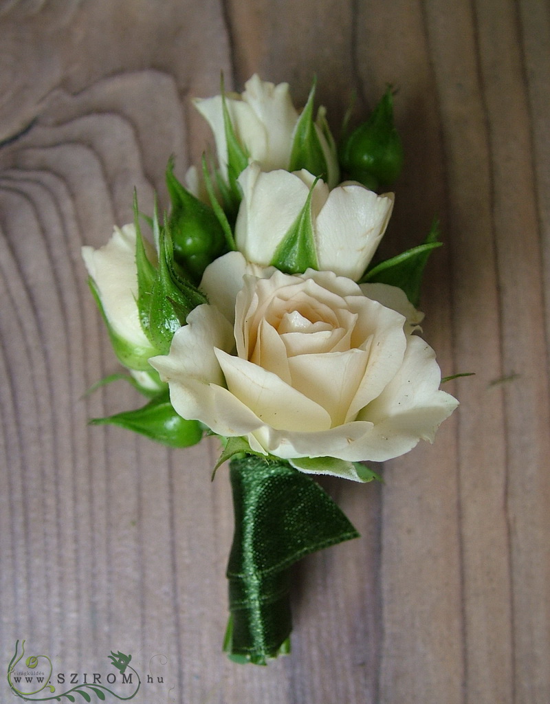Vőlegény kitűző bokros rózsából (krém, fehér)