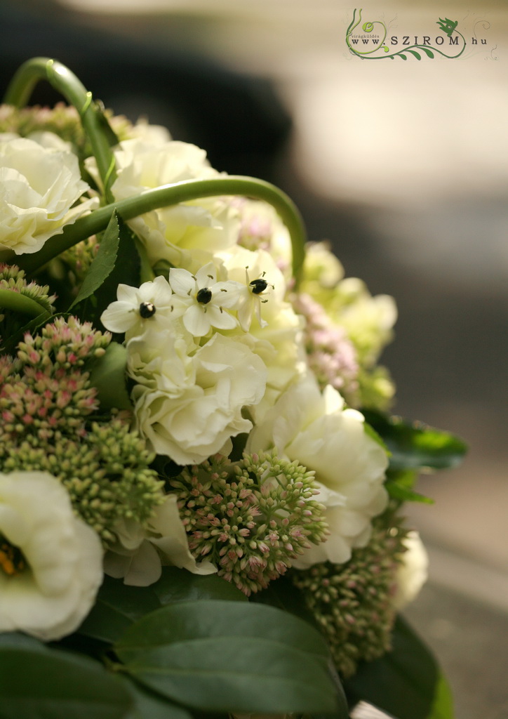 flower delivery Budapest - oval car flower arrangement with lisianthius and ornithogalums (green, cream, white)