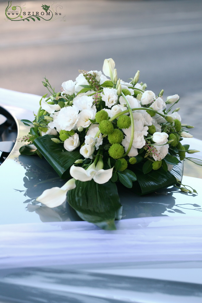 flower delivery Budapest - oval car flower arrangement with orchids and callas (white, green)