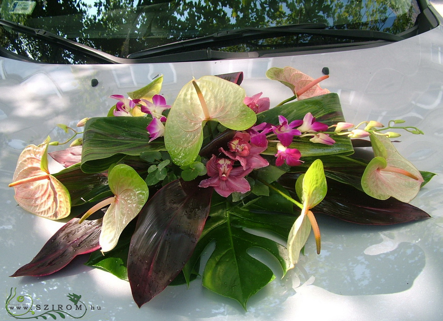 flower delivery Budapest - oval car flower arrangement with orchids and anthuriums (green, pink)