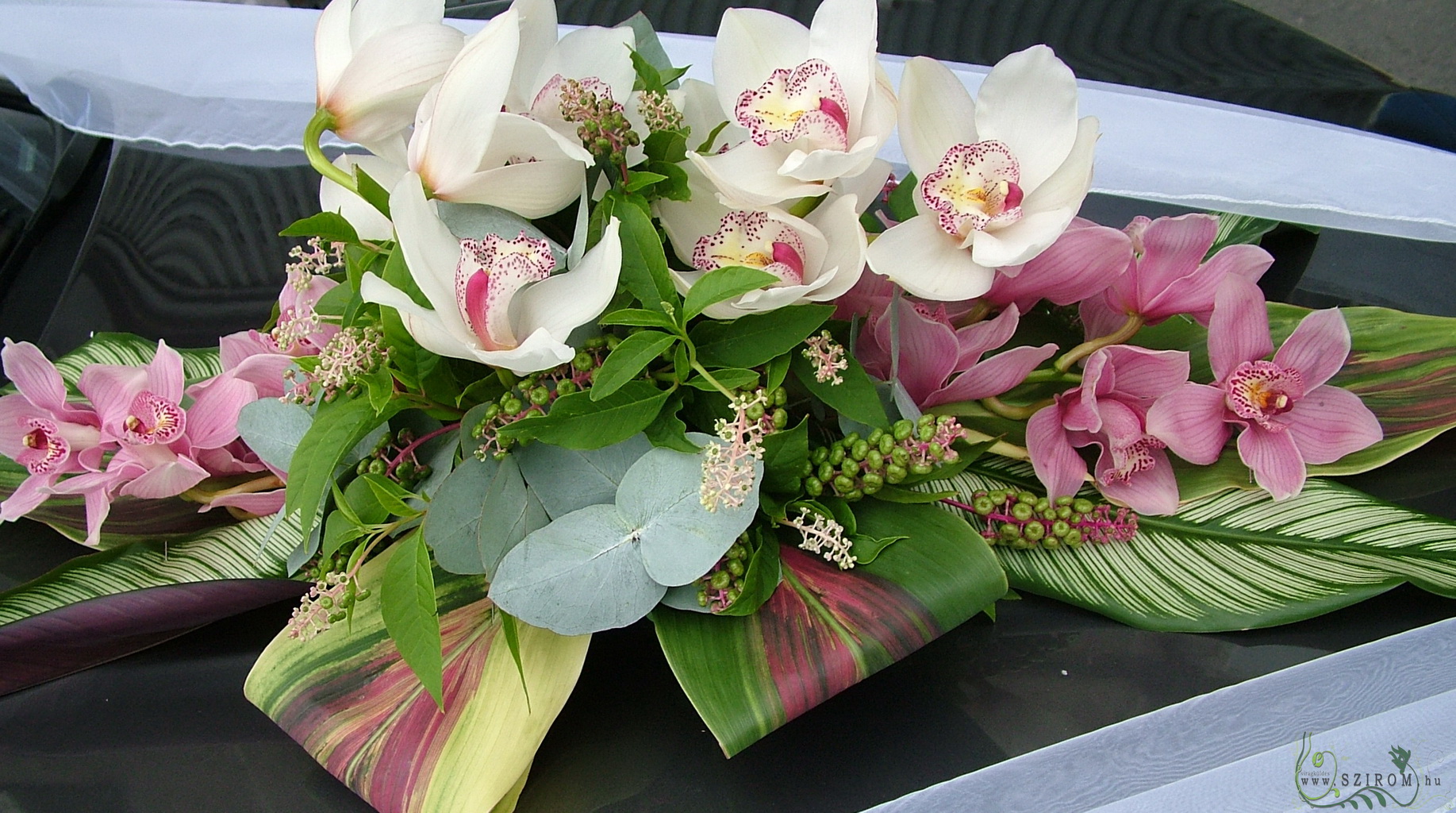 ovális autódísz orchideával (Cymbidium orchidea, fehér, rózsaszín)