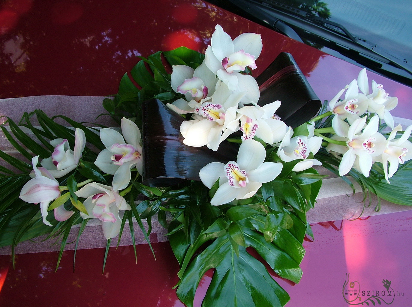 flower delivery Budapest - oval car flower arrangement with orchids (white)