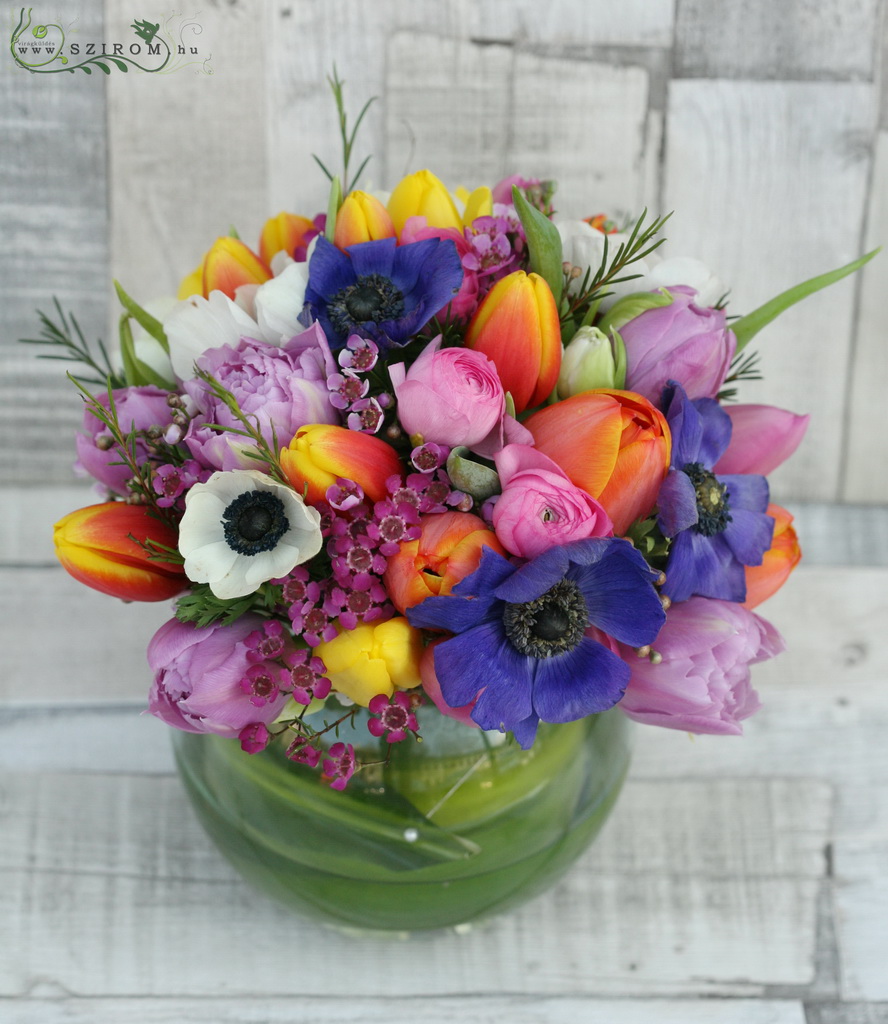 Asztaldísz tavaszi virágokkal üveggömbben (lila, narancs, tulipán, anemone, boglárka), esküvő