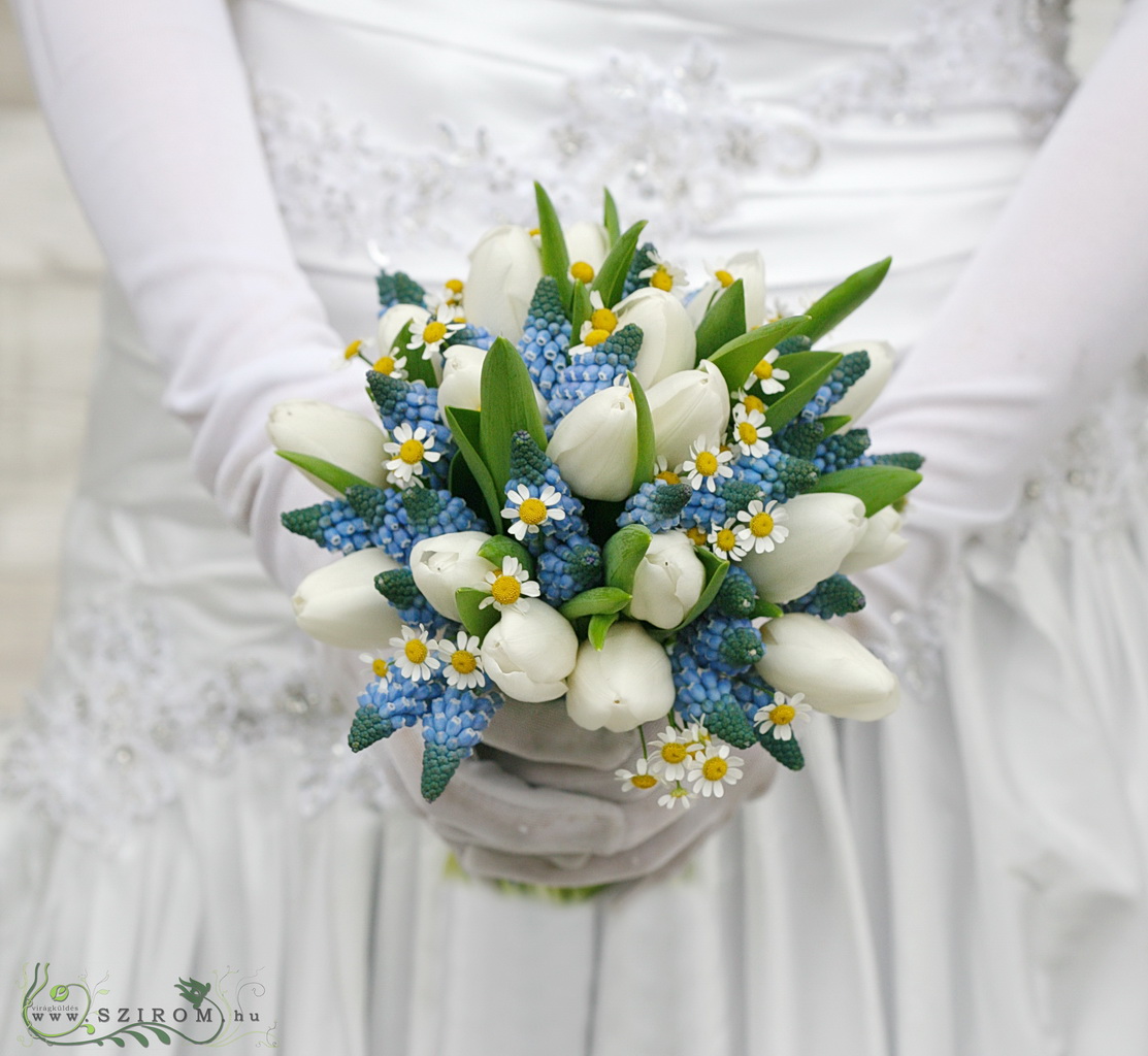 Menyasszonyi csokor tulipánból, muscarival, kamillával (fehér, kék)