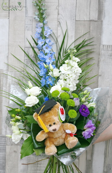 Blumenlieferung nach Budapest - Graduierung Blumenstrauß für Junge, mit Teddy (7 Stiele)