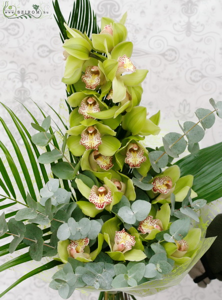 flower delivery Budapest - Green orchid tall bouquet