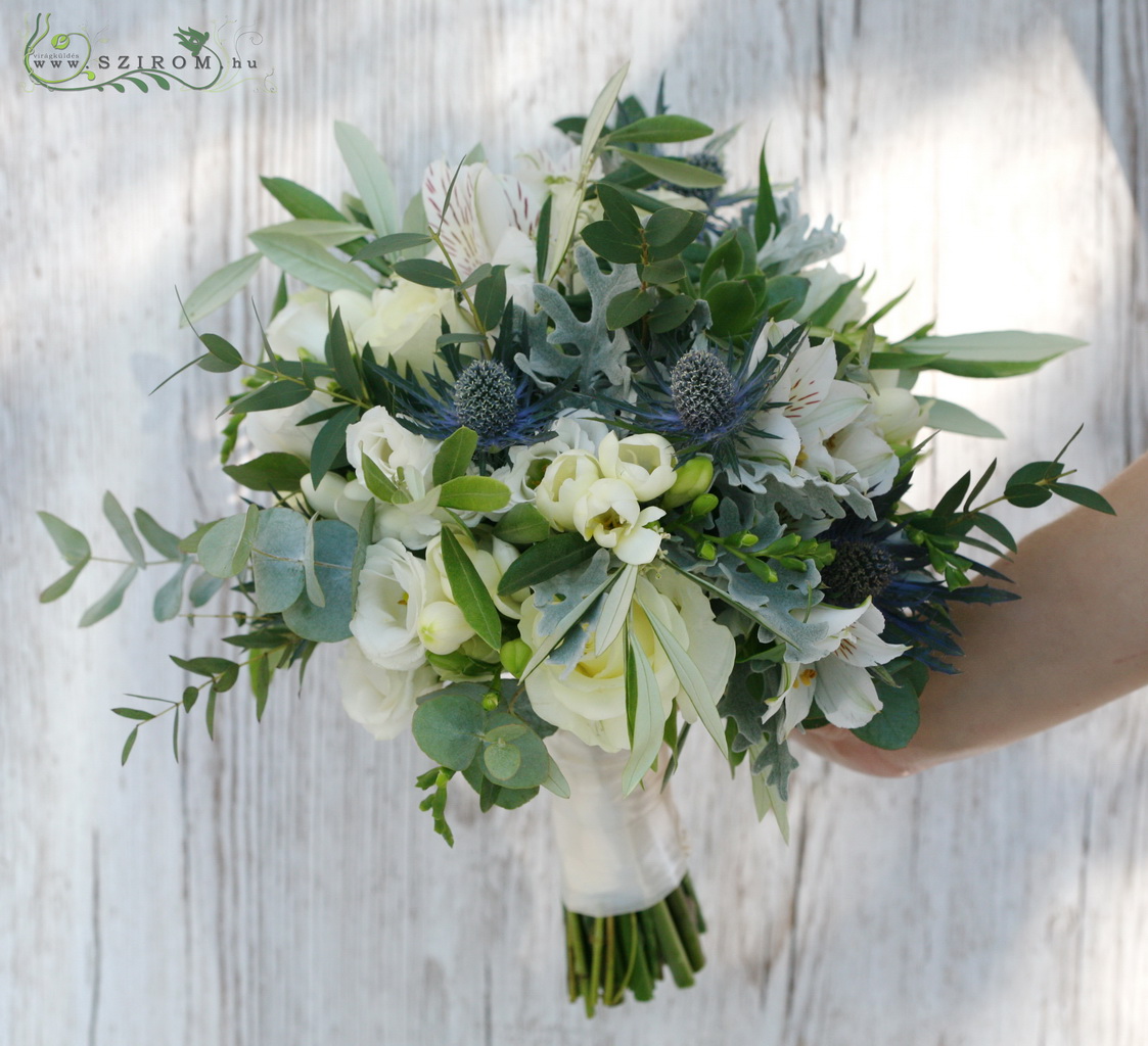 Bridal bouquet with rose, fresia, eringium, eucaliptus (white, silver)