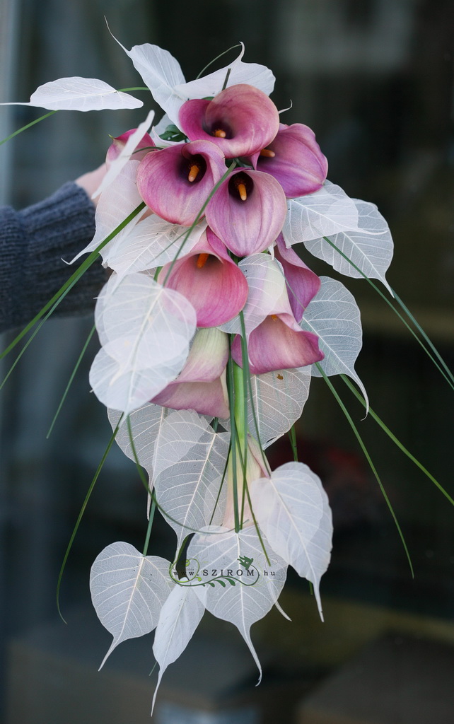 bridal bouquet (calla, transparent leaf, white, pink)