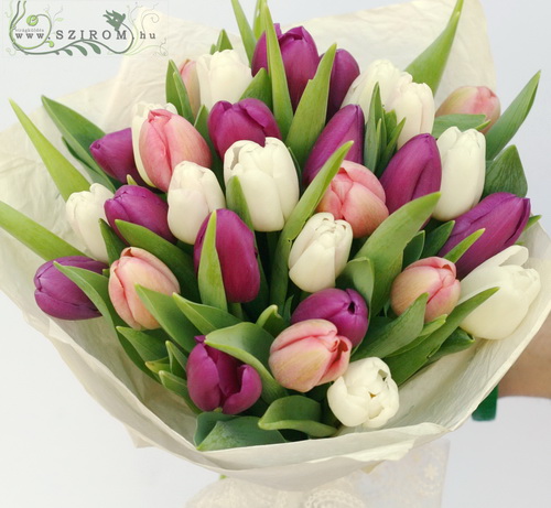 Virágküldés Budapest - 30 tulipán pasztell