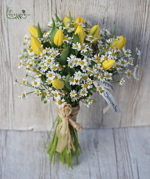 flower delivery Budapest - Tulips and chamomiles bouquet (17 stems)