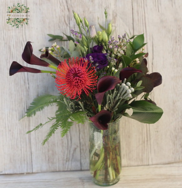 Blumenlieferung nach Budapest -  Modernes Bouquet mit dunklen Burgunder Callas und Nadelkissen-Protea, im Vase (13 Stiele)