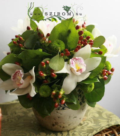 Virágküldés Budapest - 7 fehér orchidea, zöld krizi hypericummal, kerámiában (25cm)