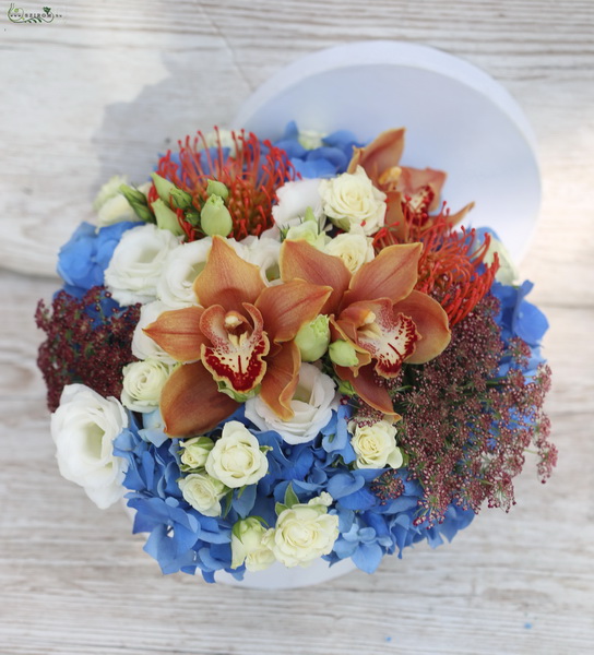 Blumenlieferung nach Budapest - Blumenkasten mit Orchideen, Hortensien, Nadelkissen Proteas