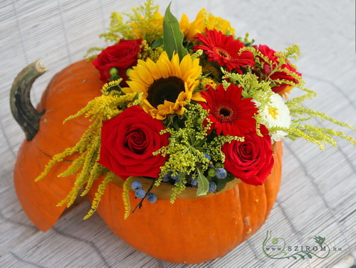 flower delivery Budapest - pumpkin bouquet (16 stems)