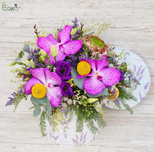 Blumenlieferung nach Budapest - Blumenkasten mit Vanda-Orchidee und kleinen Blüten (13 Stiele)