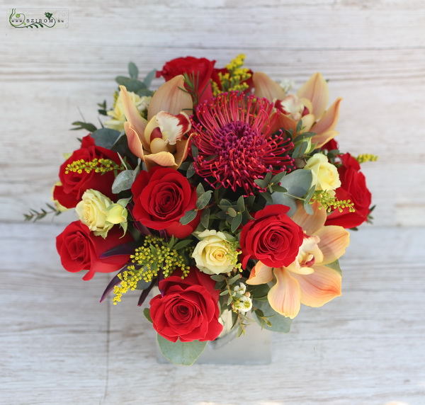 Blumenlieferung nach Budapest -  Blumenwürfel mit roten Rosen, Orchidee und Nadelkissen-Protea