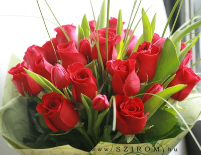 Blumenlieferung nach Budapest - rote Rosen und Tulpen (25 Stämme)