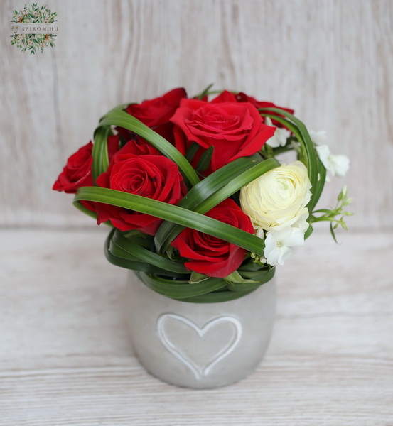 flower delivery Budapest - small pot with heart and 7 red roses, spring flowers